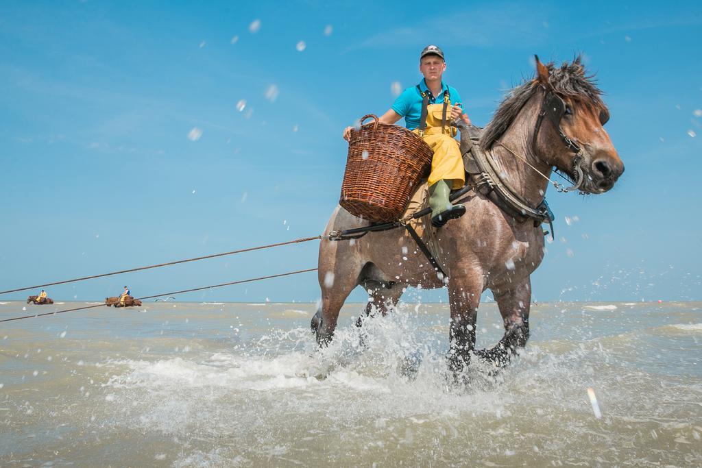 Jeugdherberg De Peerdevisser Oostduinkerke Luaran gambar